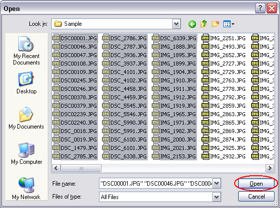 advanced file organizer rapidu